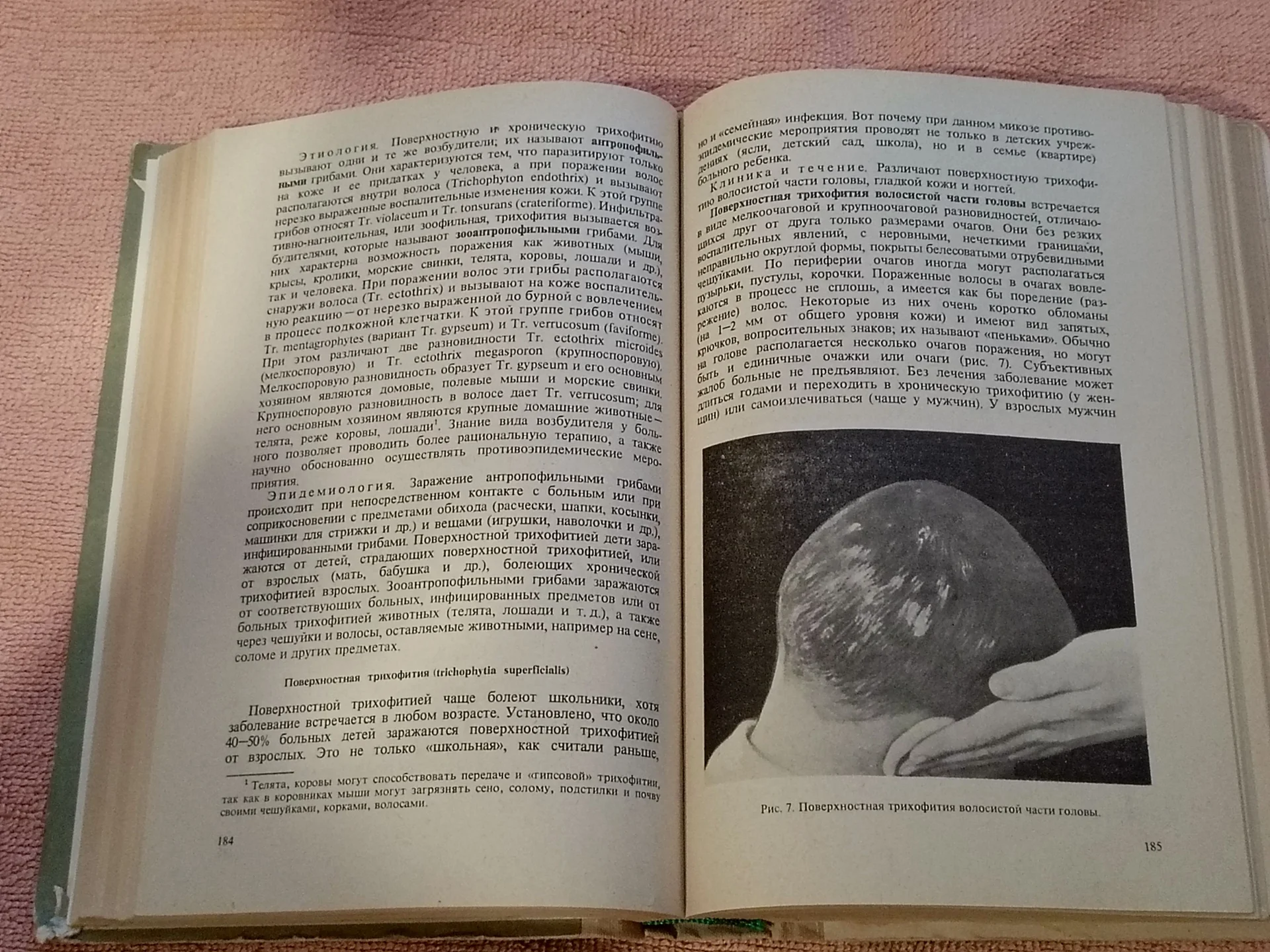 Скрипкин Ю. К. Кожные и венерические болезни - миниатюра 10