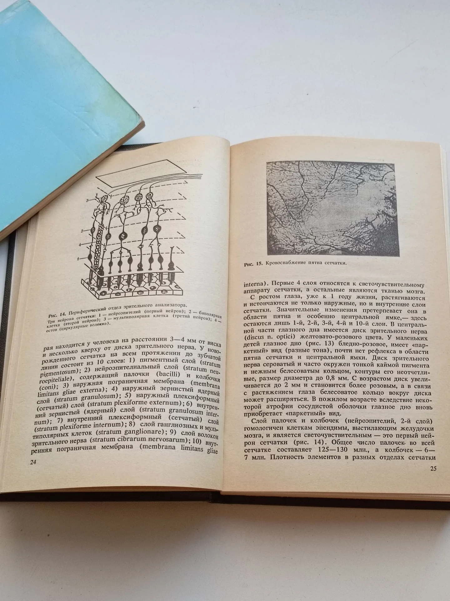 Ковалевский Е. И. Глазные болезни - миниатюра 8