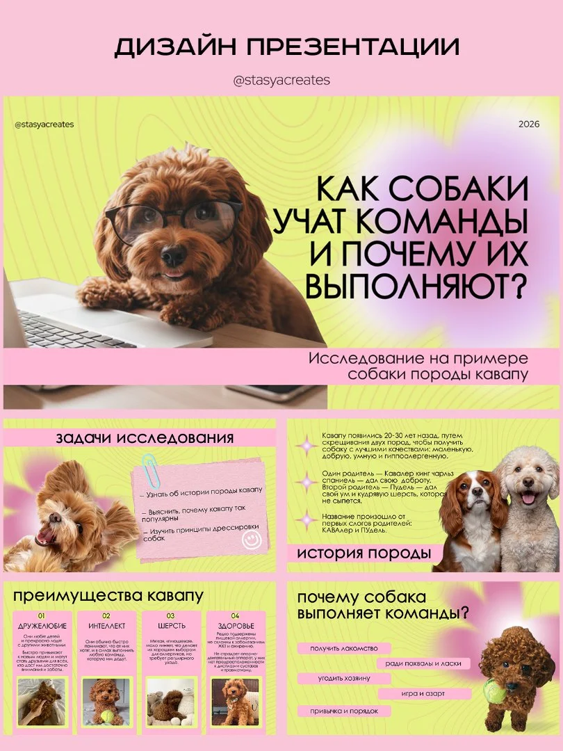 Графический дизайнер | логотипы | фирменный стиль | соцсети - миниатюра 5