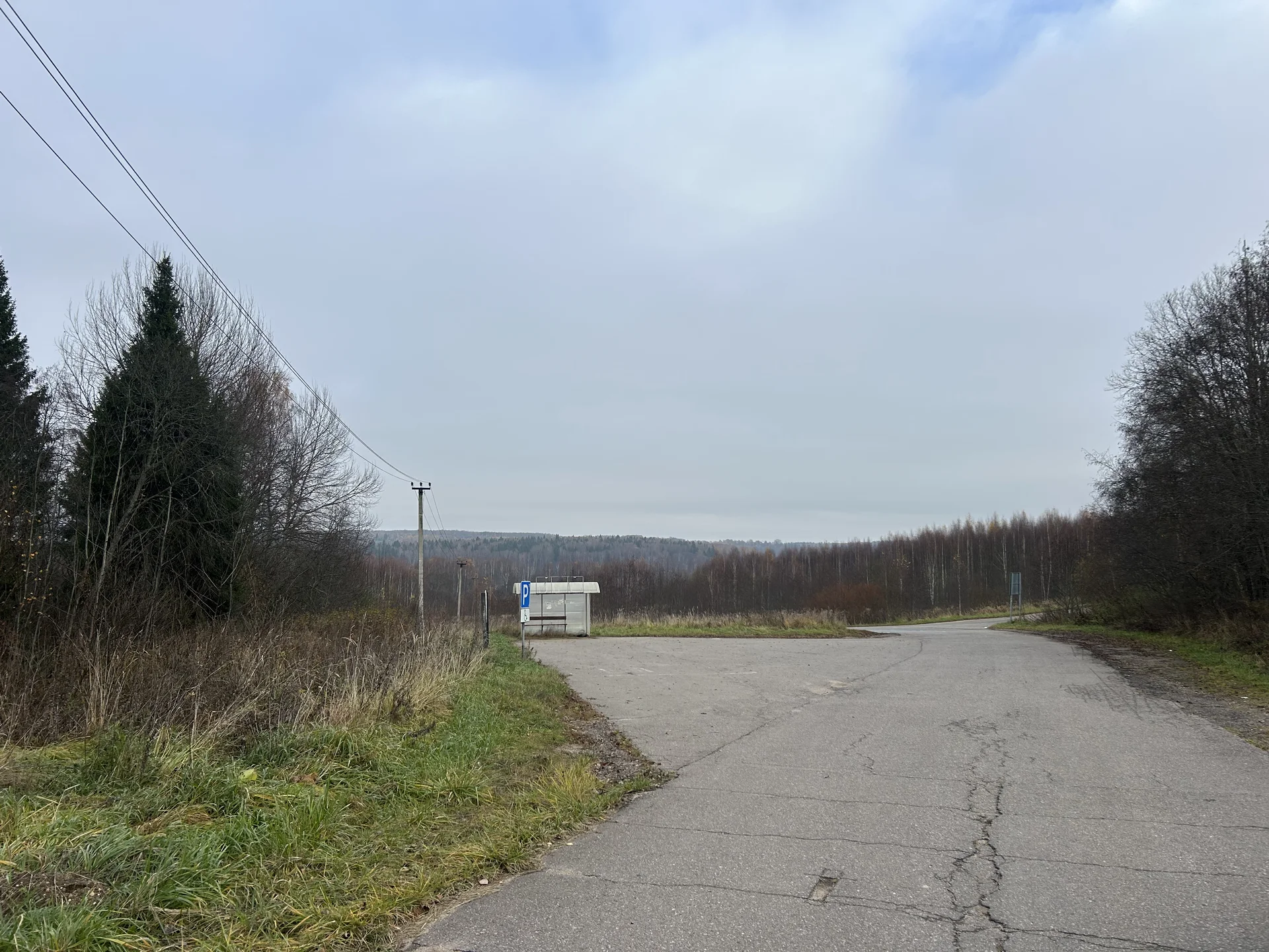 Участок в Моск обл 46 соток - миниатюра 8