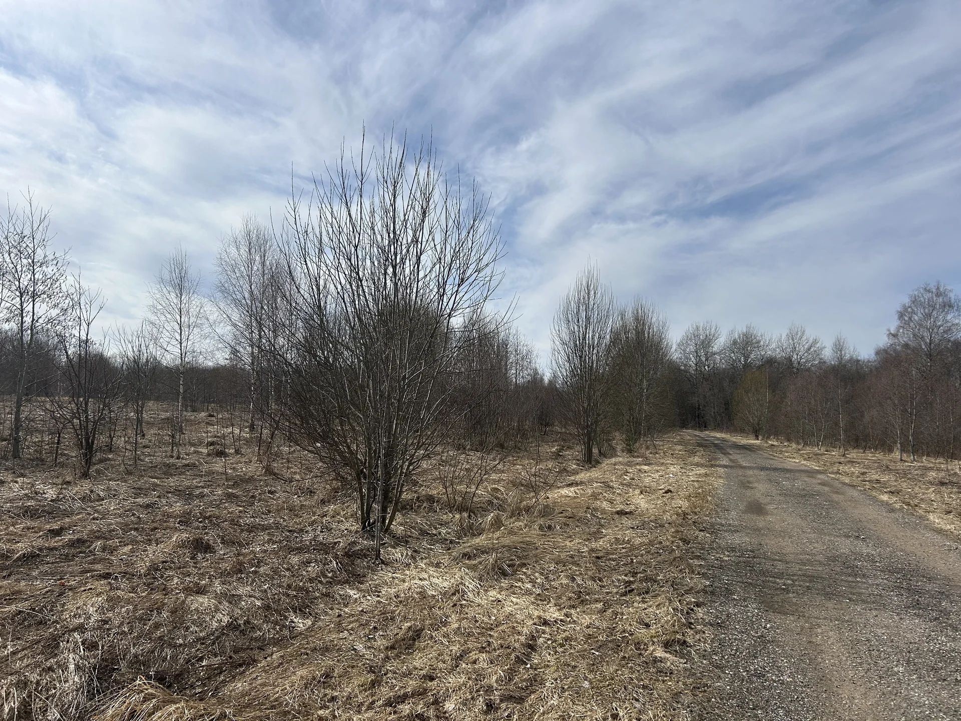 Участок у дороги 5 ГА д.Внуково - миниатюра 8