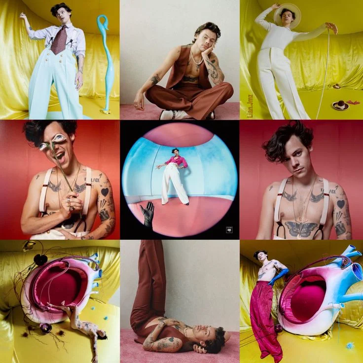 Пластинка Harry Styles Fine Line лимитированная - миниатюра 4