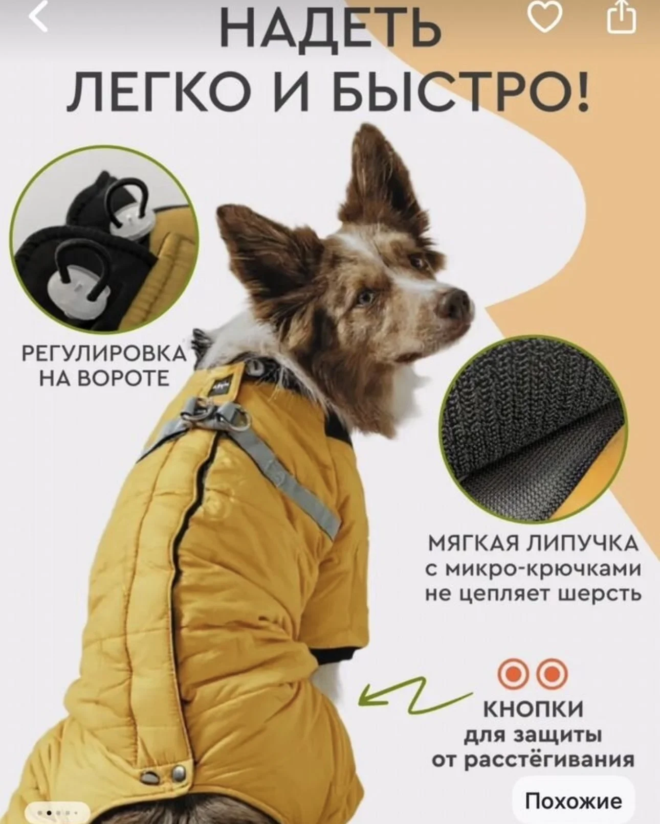 Зимняя куртка для собаки - миниатюра 5