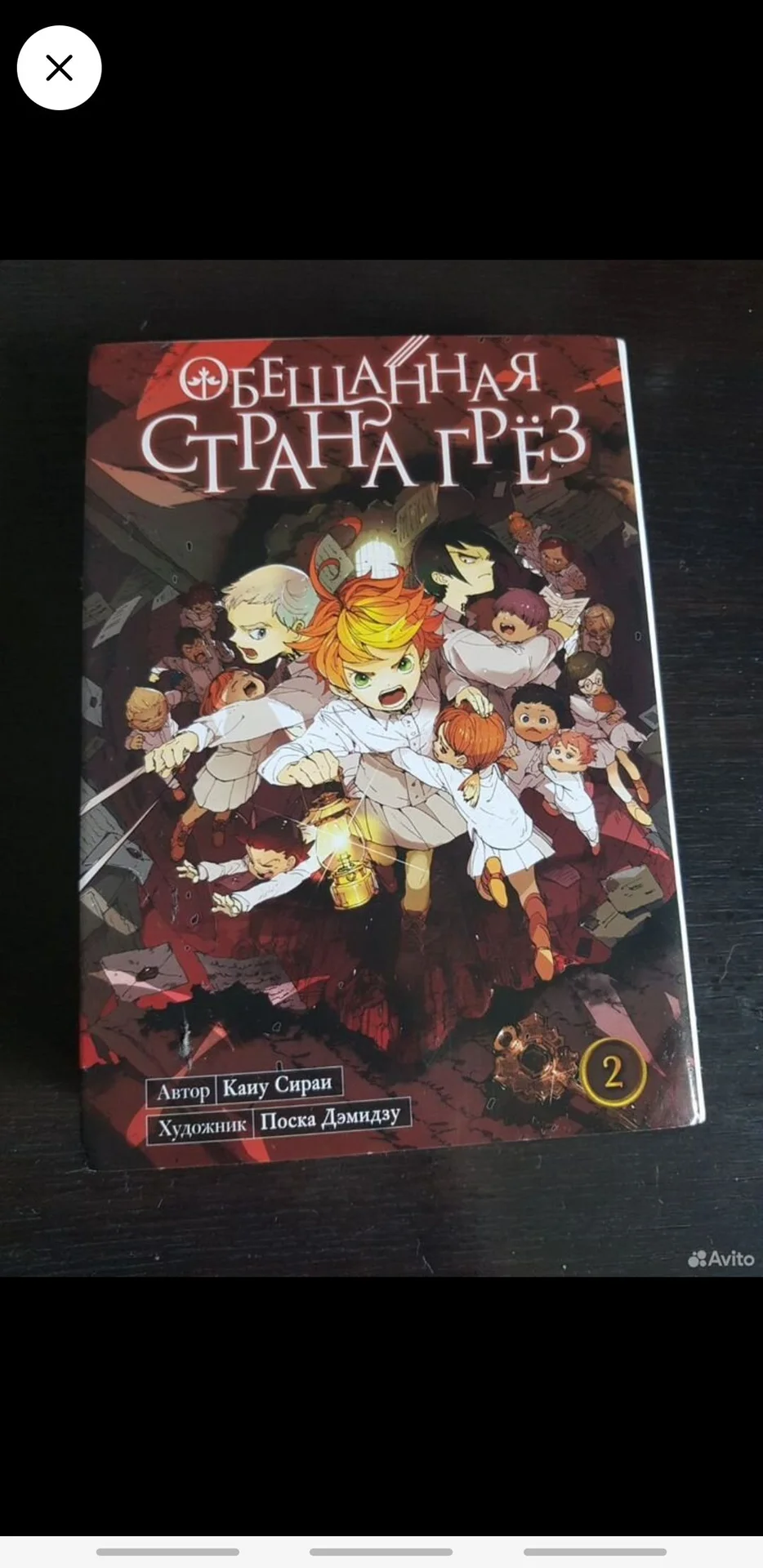 Обещанная страна грез - изображение 1
