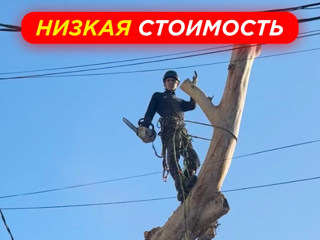 Спил Деревьев | Расчистка Участков - миниатюра 2