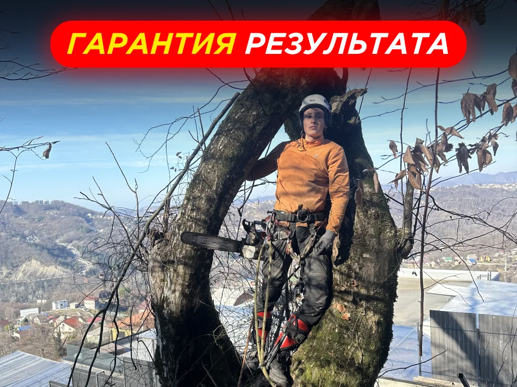 Спил Деревьев | Расчистка Участков - миниатюра 3