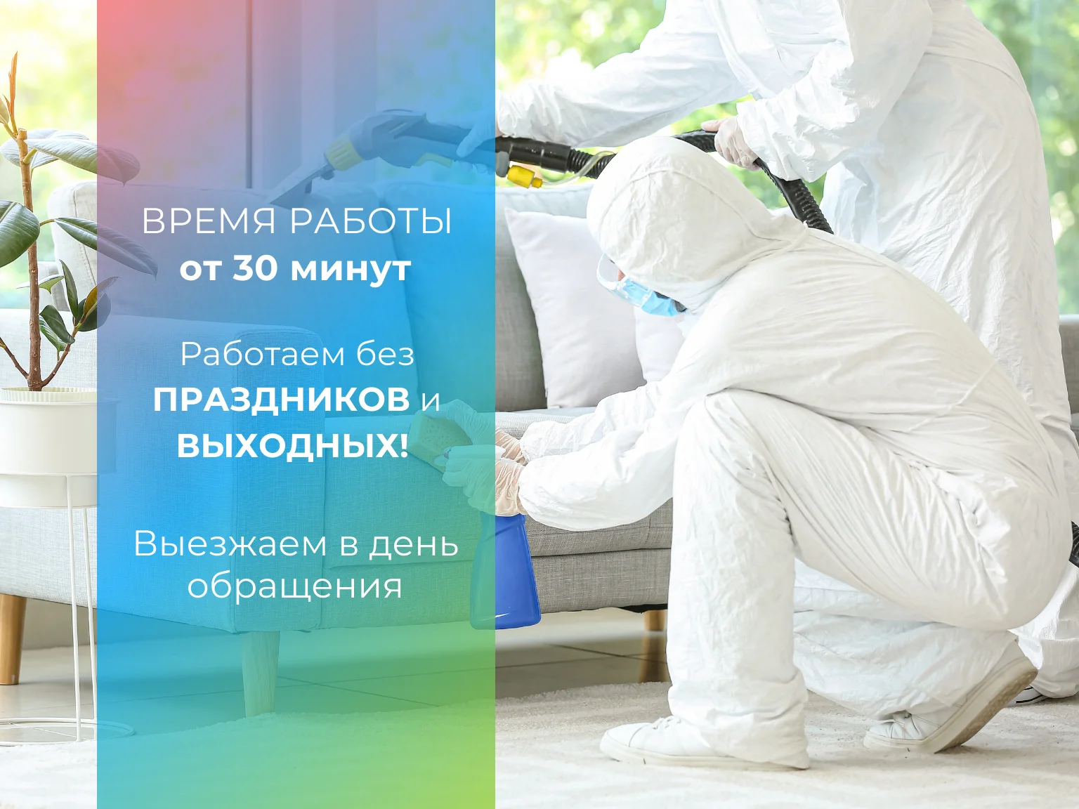 Дезинсекция, дезинфекция, дератизация - миниатюра 3