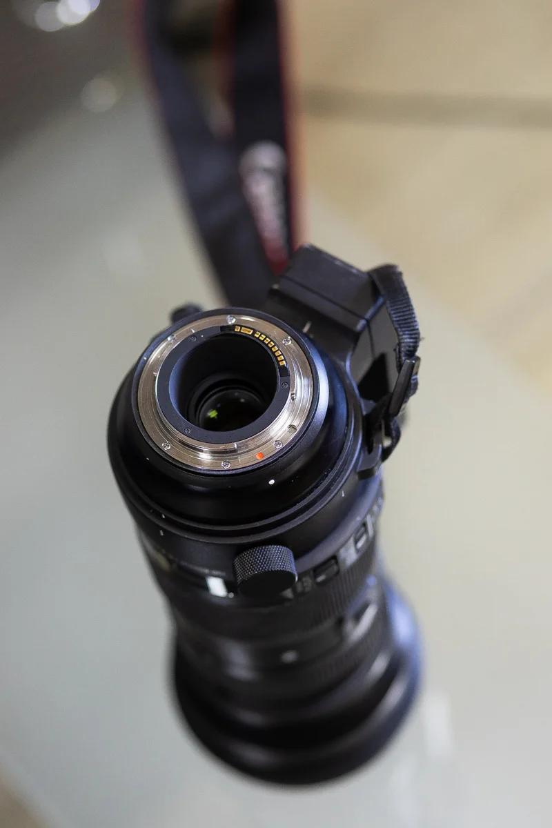 Sigma AF 150-600 f/5-6.3 sport canon - миниатюра 4