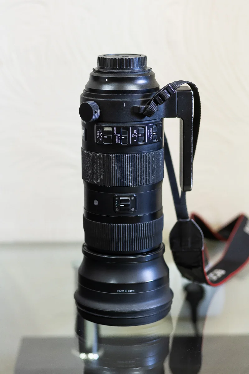 Sigma AF 150-600 f/5-6.3 sport canon - миниатюра 5