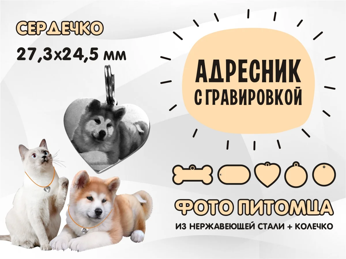 Изготовление адресников,жетонов для собак и кошек - миниатюра 3