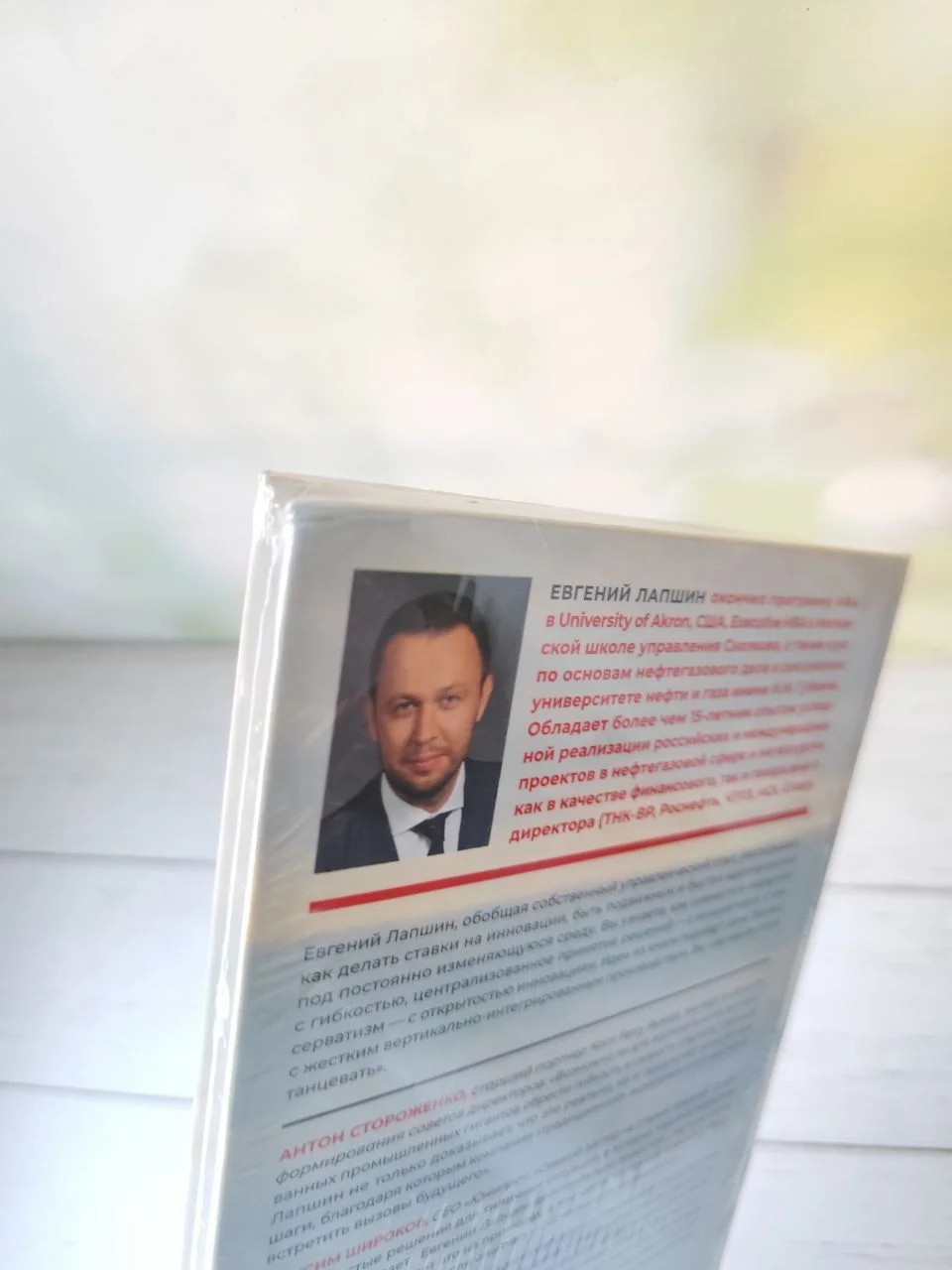Корпорация без монстров. Евгений Лапшин - миниатюра 9