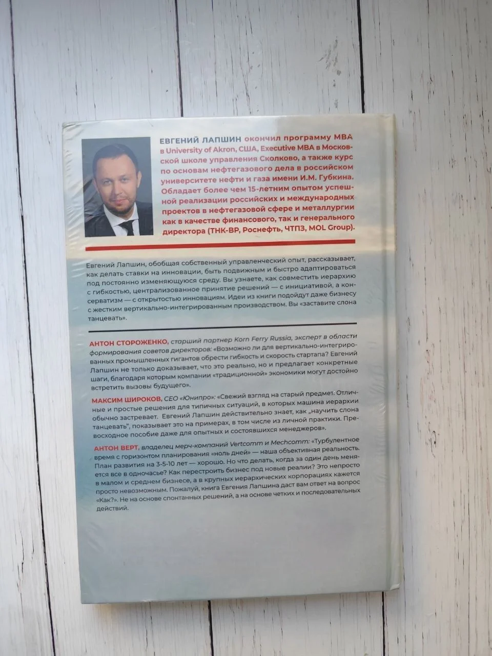 Корпорация без монстров. Евгений Лапшин - миниатюра 10