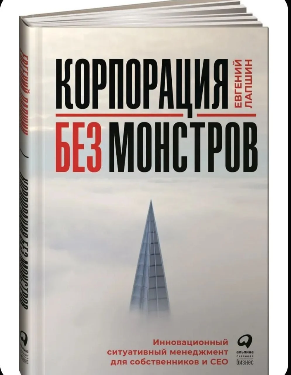 Корпорация без монстров. Евгений Лапшин - миниатюра 11