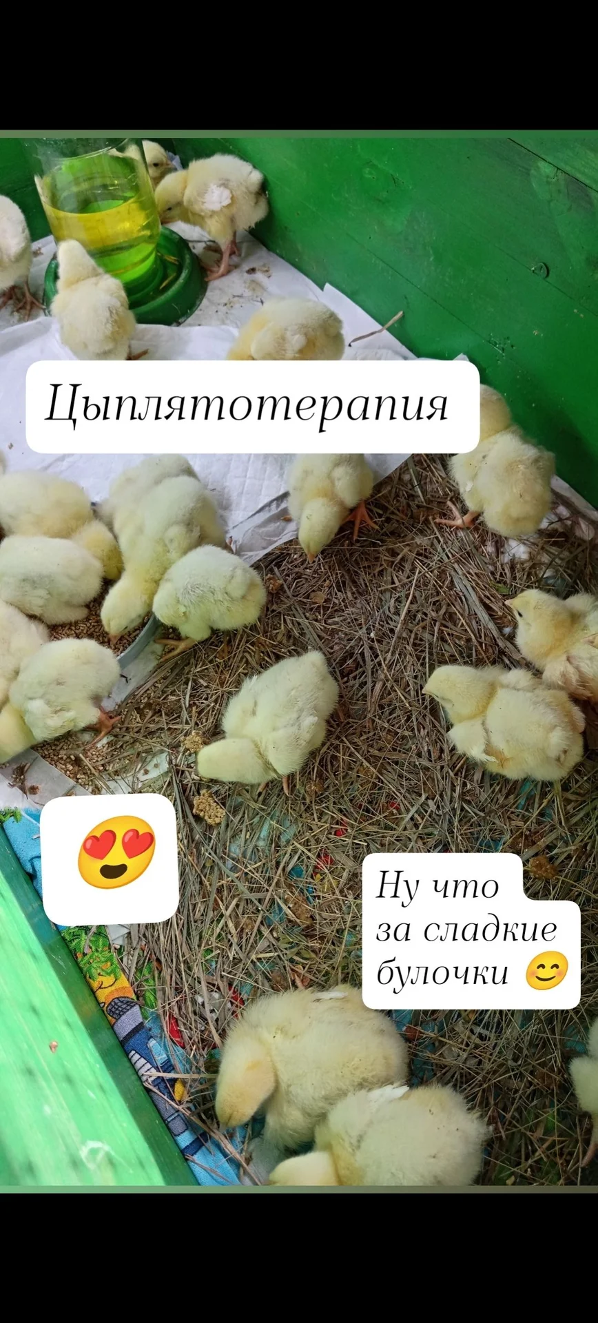 Дом и 45 соток земли + комплекс построек. - миниатюра 19