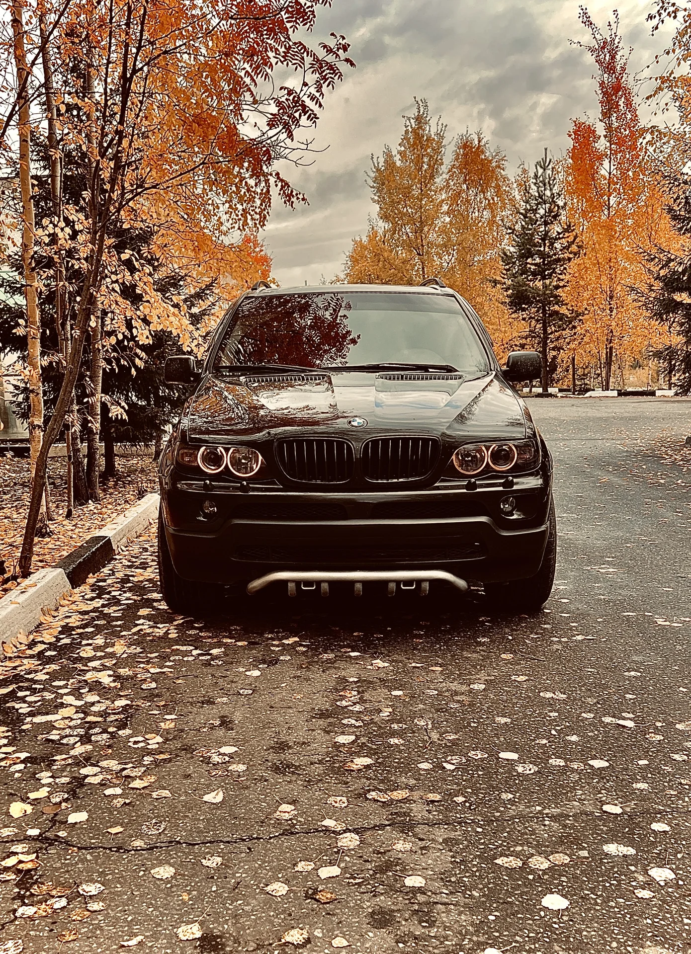 BMW X5 E53 - миниатюра 9