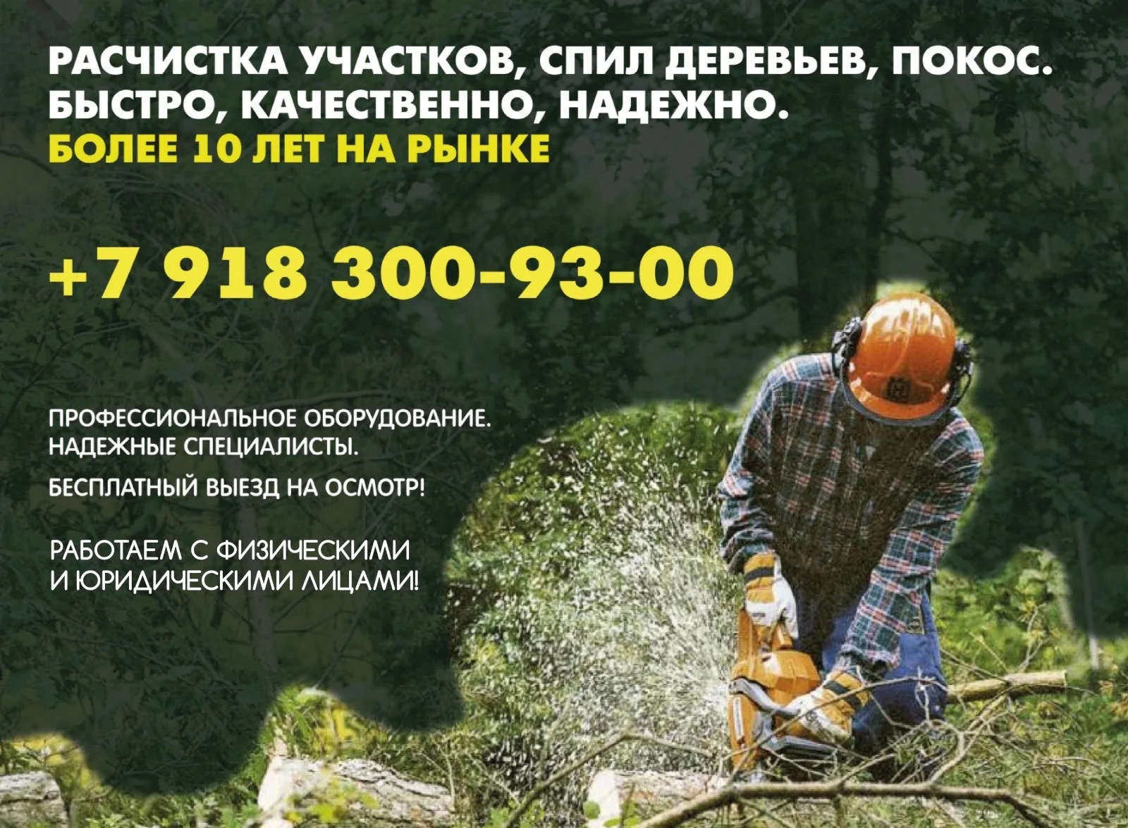 Расчистка участка - изображение 1