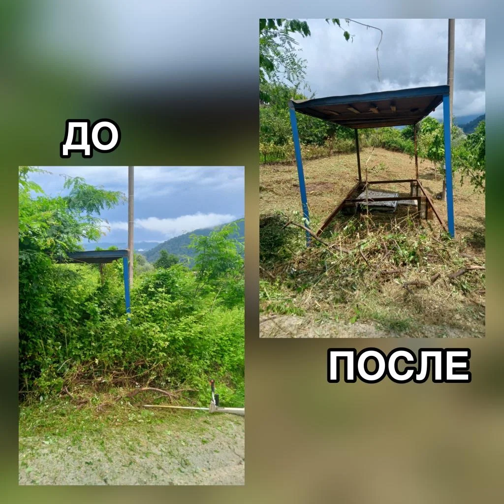Расчистка участка - миниатюра 2