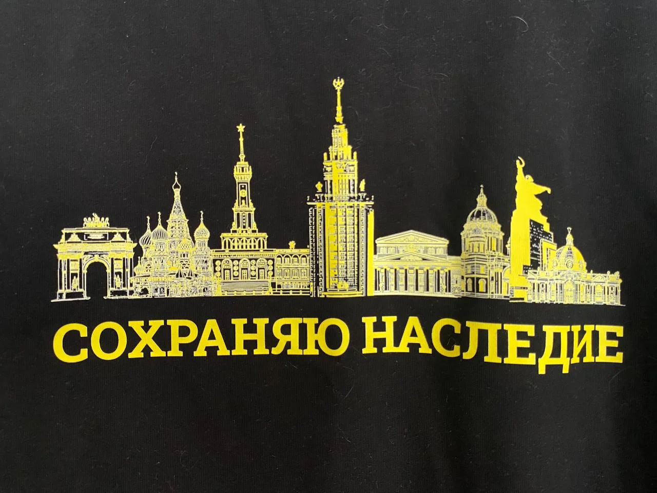 Толстовка «НАСЛЕДИЕ» XL ДКН - миниатюра 3