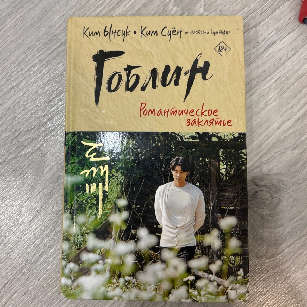 Книга Гоблин романтическое заклятие - изображение 1