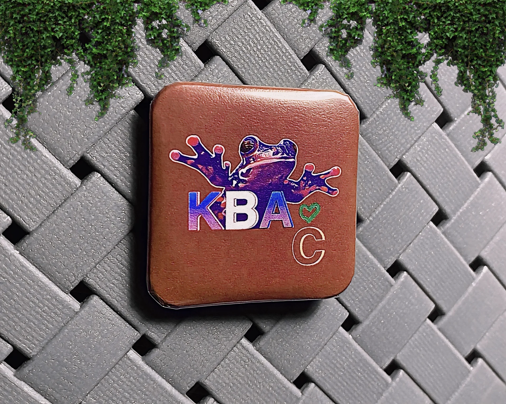 Квасные значки с лягушками и жабами - миниатюра 3