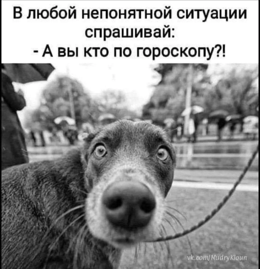 Астрологическая помощь - изображение 1