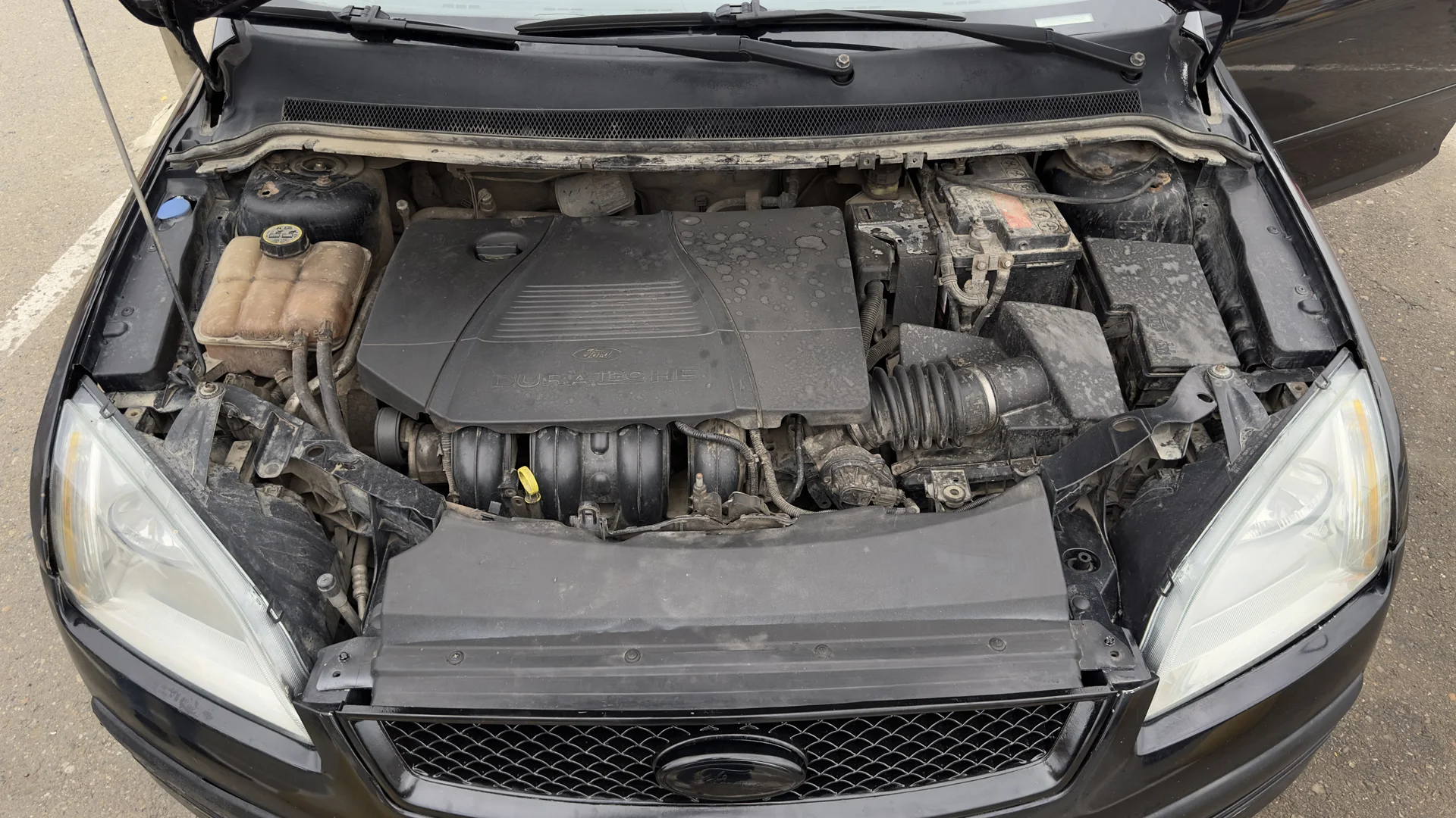 Ford Focus 2 - миниатюра 10