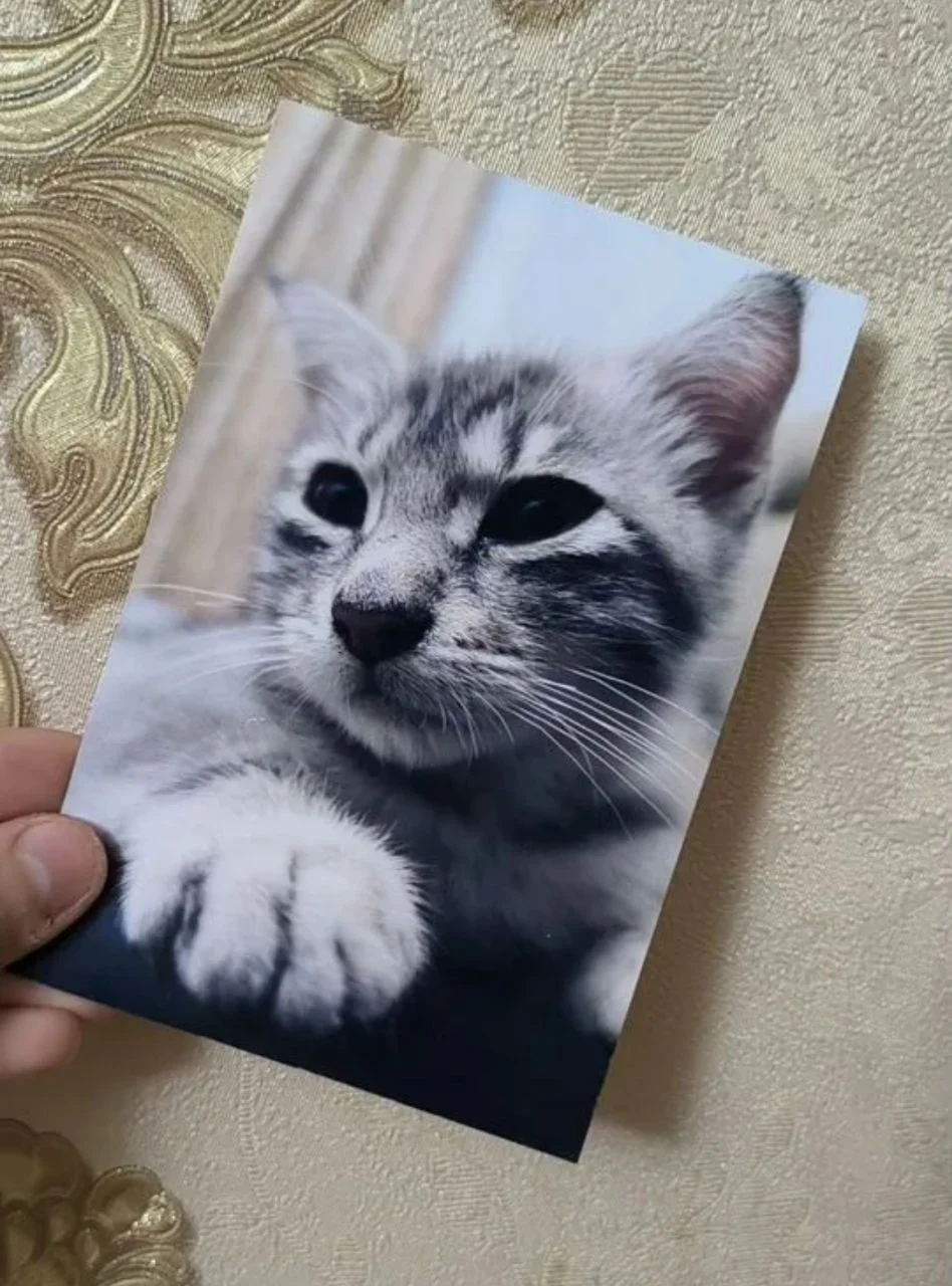 Печать фотографий 10х15 | Полароид и многое другое - изображение 1
