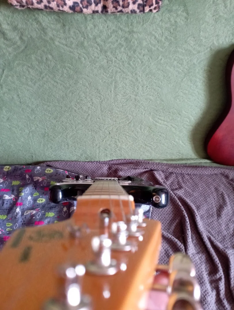 Электрогитара Стратокастер SX sst-57 mod - миниатюра 3