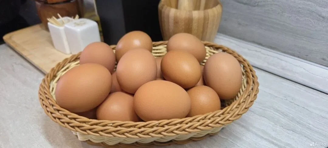 Яйца домашние - изображение 1