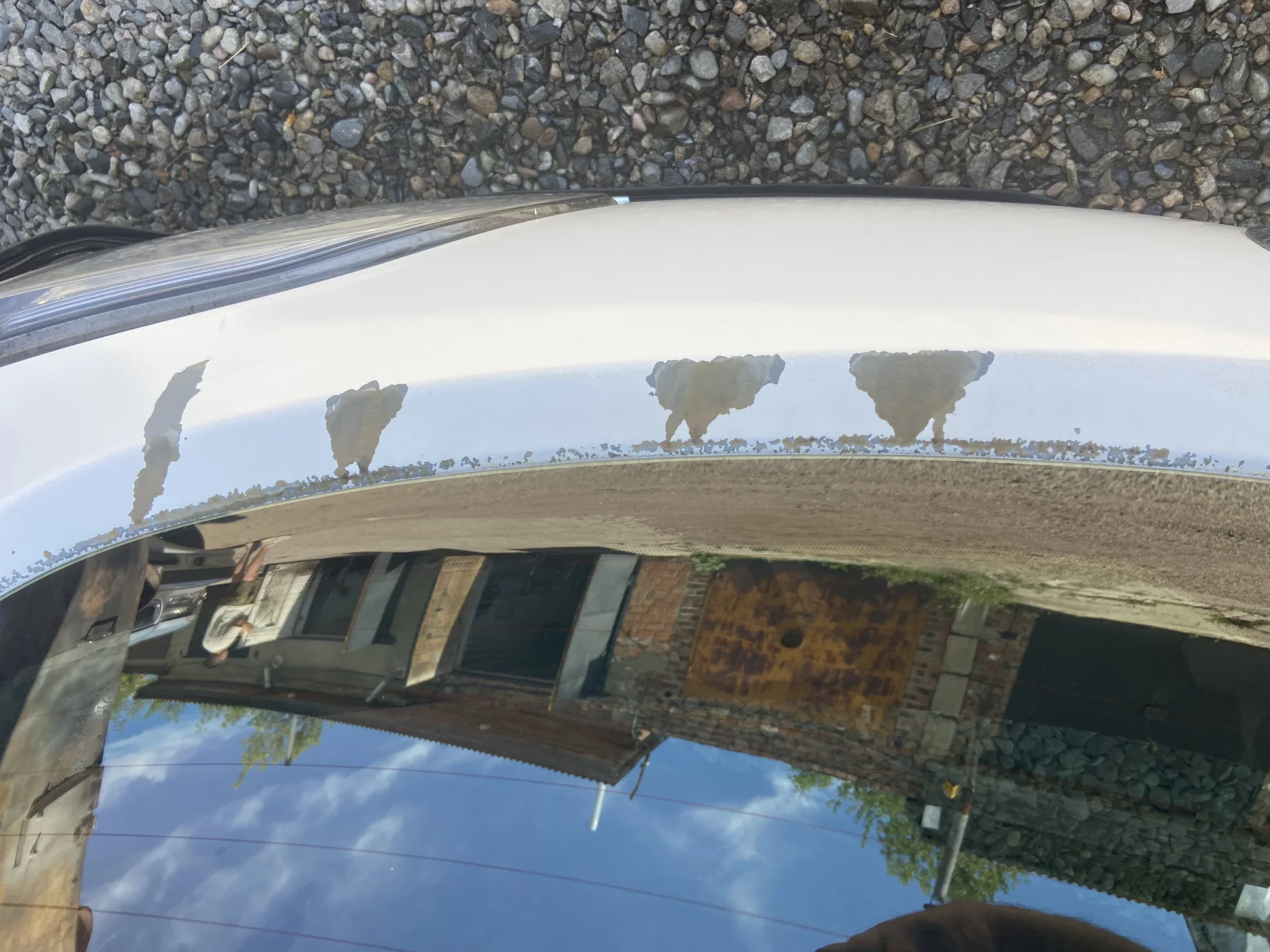 Дверь багажника Mazda Axela BL5 2011 - миниатюра 4