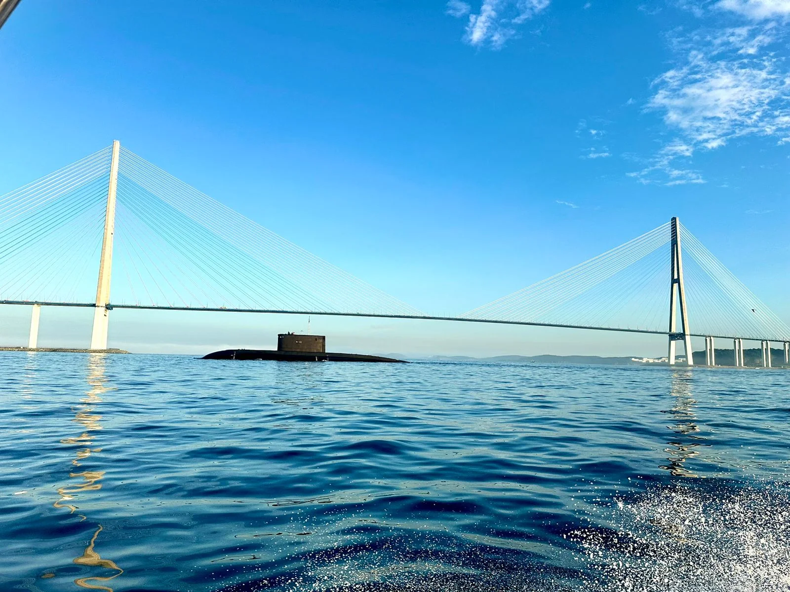 Морская прогулка. Вокруг острова Русский к морским котикам - миниатюра 2