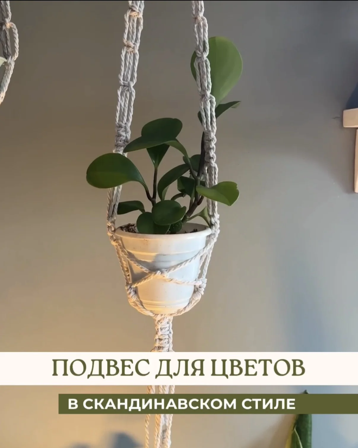 Подвес для кашпо макраме | ручная работа - изображение 1