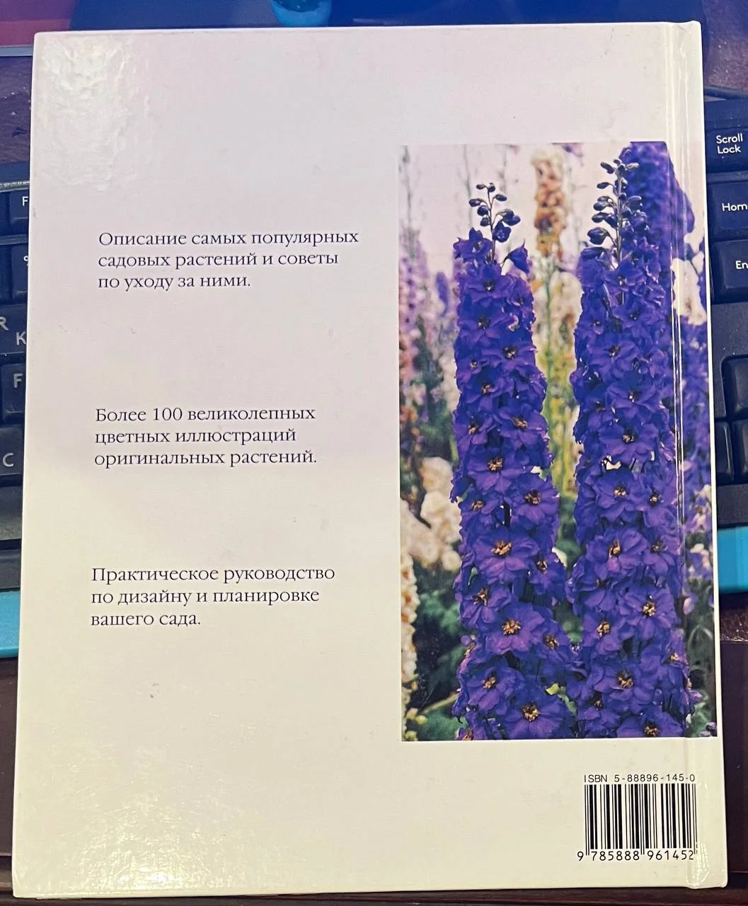 Уильям Дэвидсон Садовые pаcтения - миниатюра 2