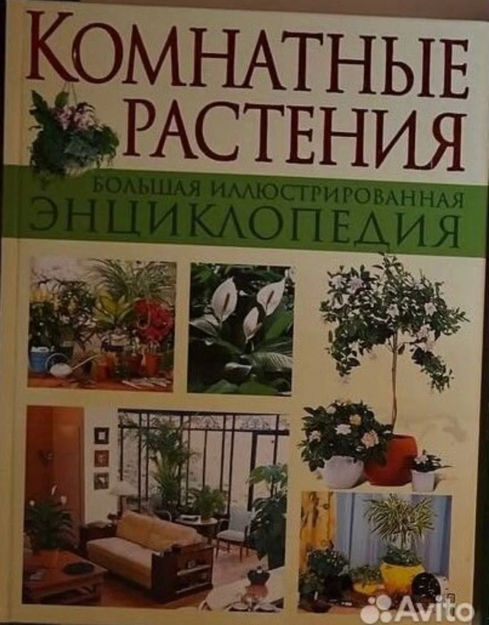 Комнатные растения. Перевод с французского И. Крупичевой - изображение 1
