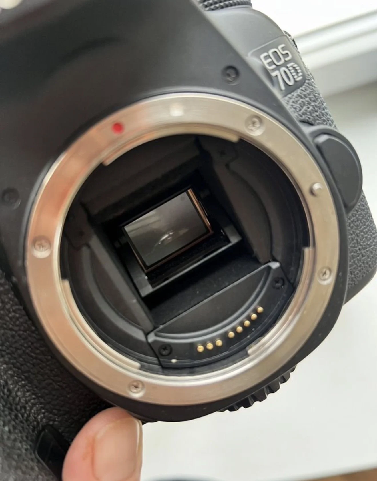 Canon eos 70d и объектив Sigma 30mm 1.4 - миниатюра 3
