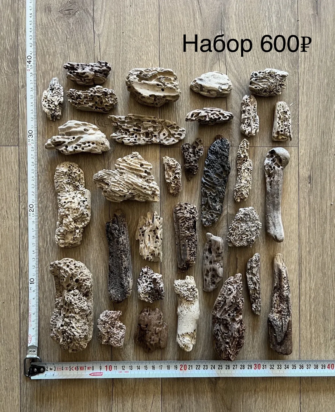 Коряги - миниатюра 10