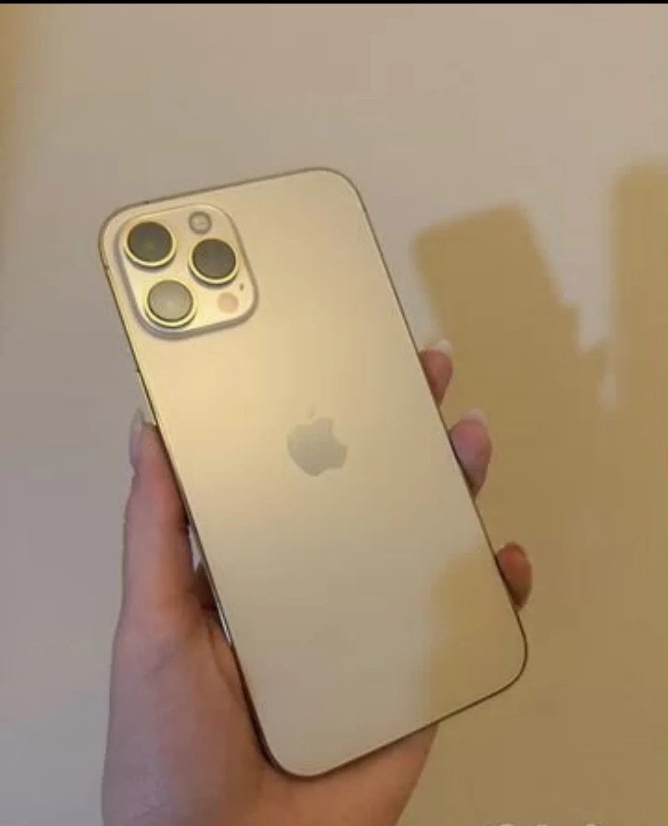 iPhone 12 Pro Max - изображение 1