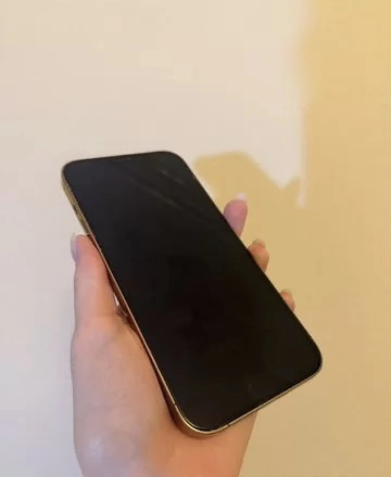 iPhone 12 Pro Max - миниатюра 2