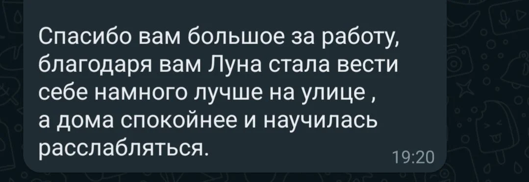 Кинолог / Дрессировка, воспитание, передержка - миниатюра 6