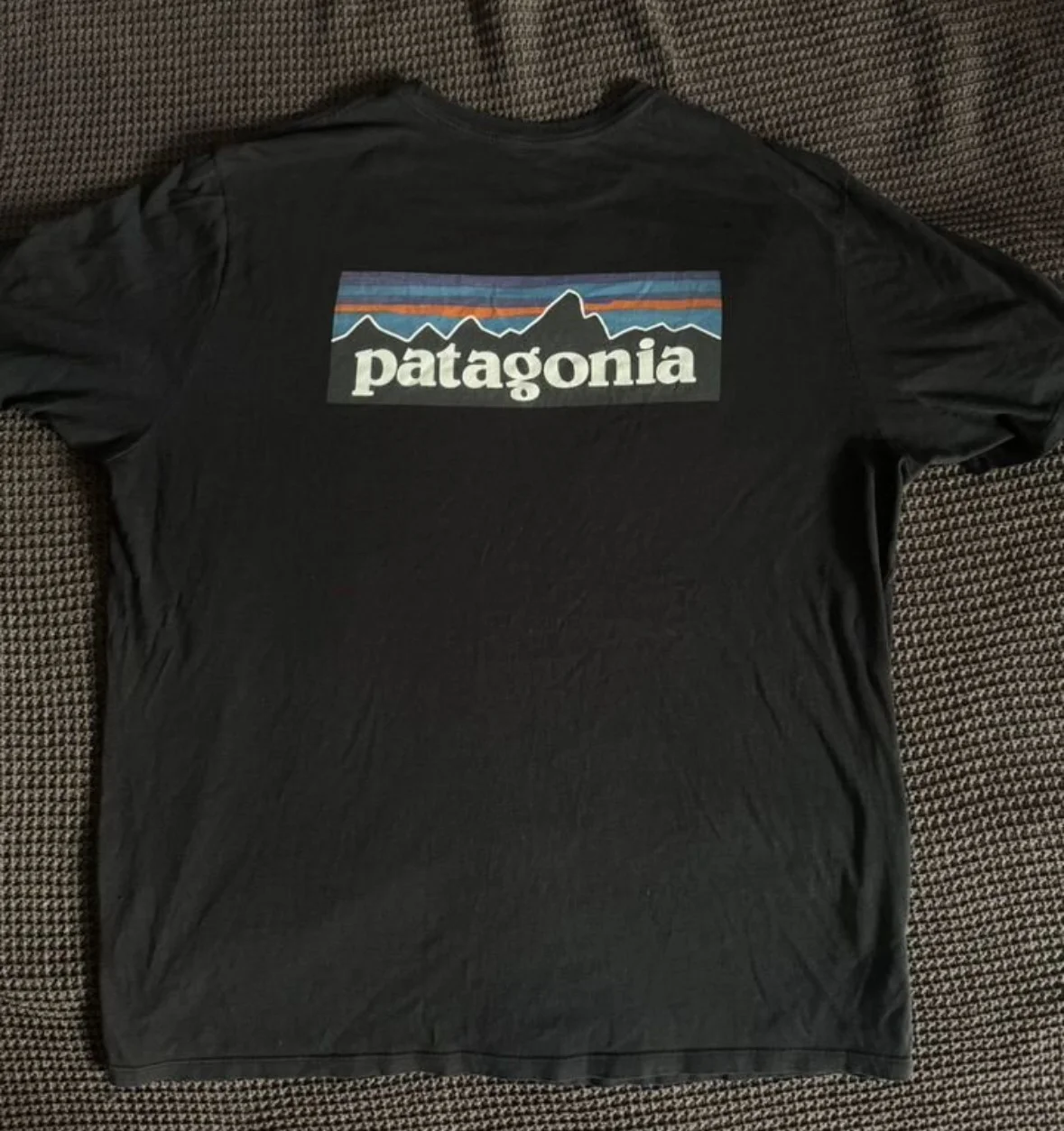 Футболка Patagonia - миниатюра 3