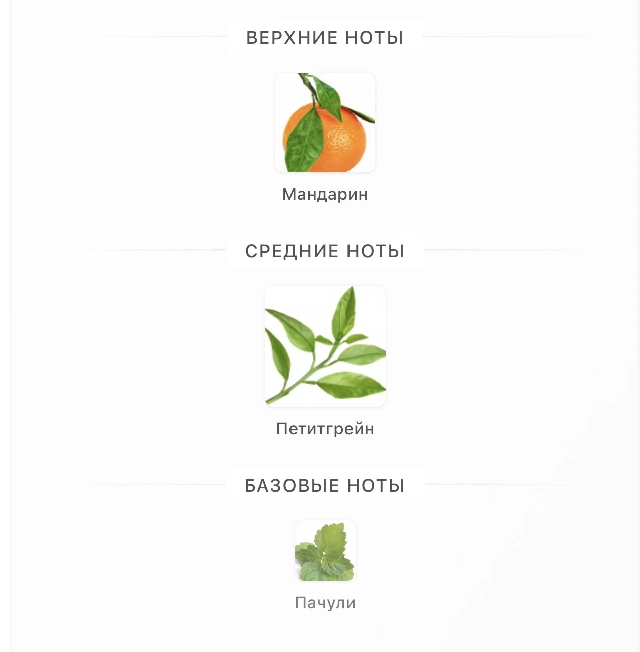The Impudent Cousin Matthew Penhaligon's 10 мл - миниатюра 3