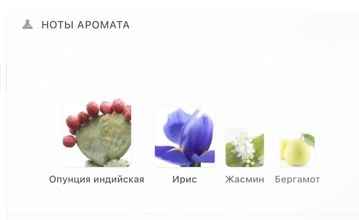 Ilio Diptyque 10 мл - миниатюра 3