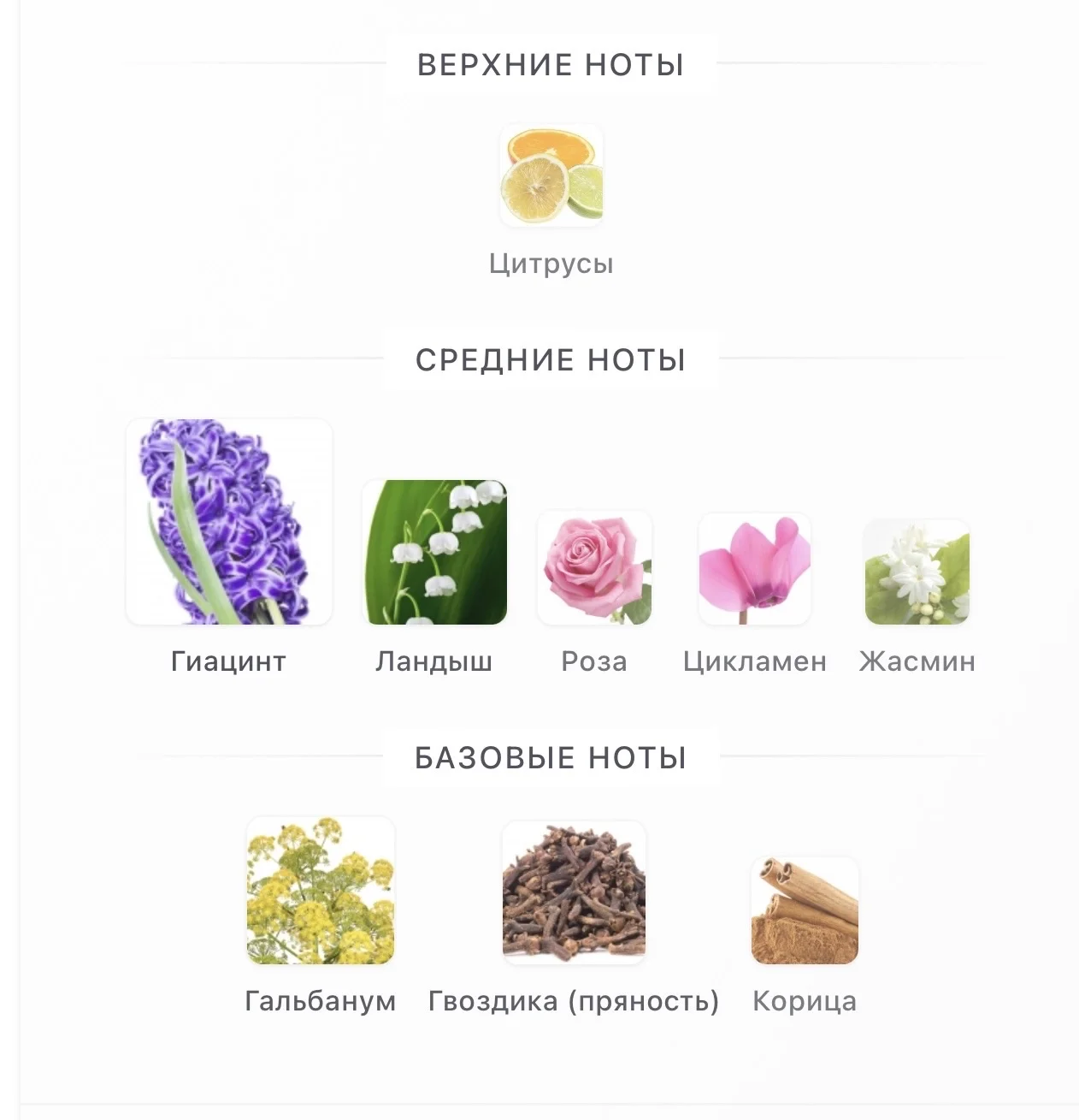 Bluebell Penhaligon's 10 мл - миниатюра 3