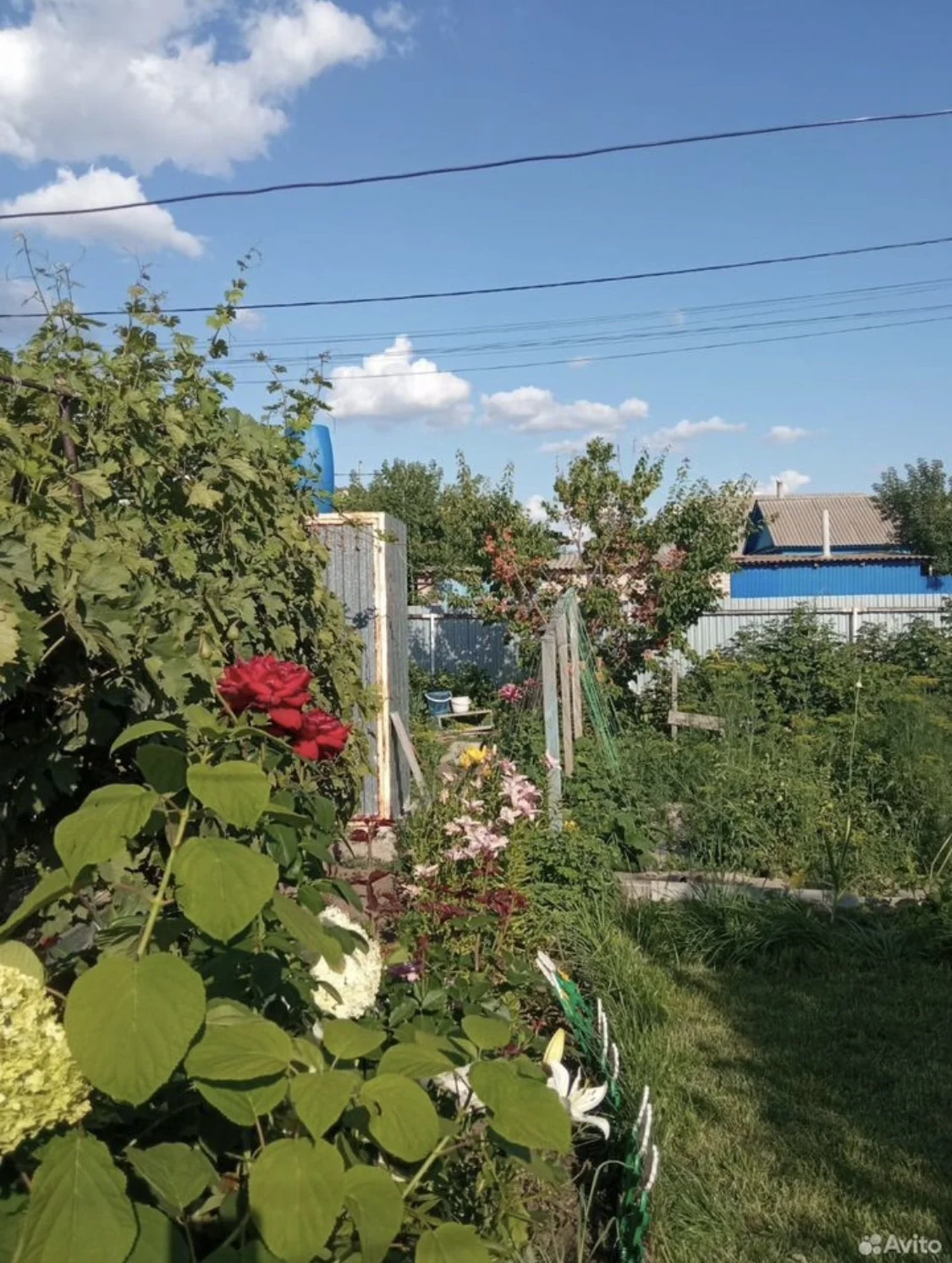 Продается дом - миниатюра 5