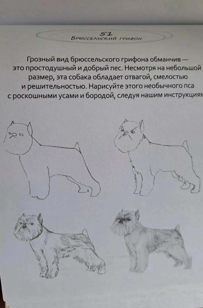 Обучающий скетчбук - миниатюра 3