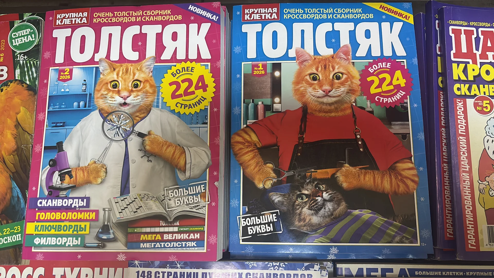 Журналы, сканворды, кроссворды и тд - миниатюра 7