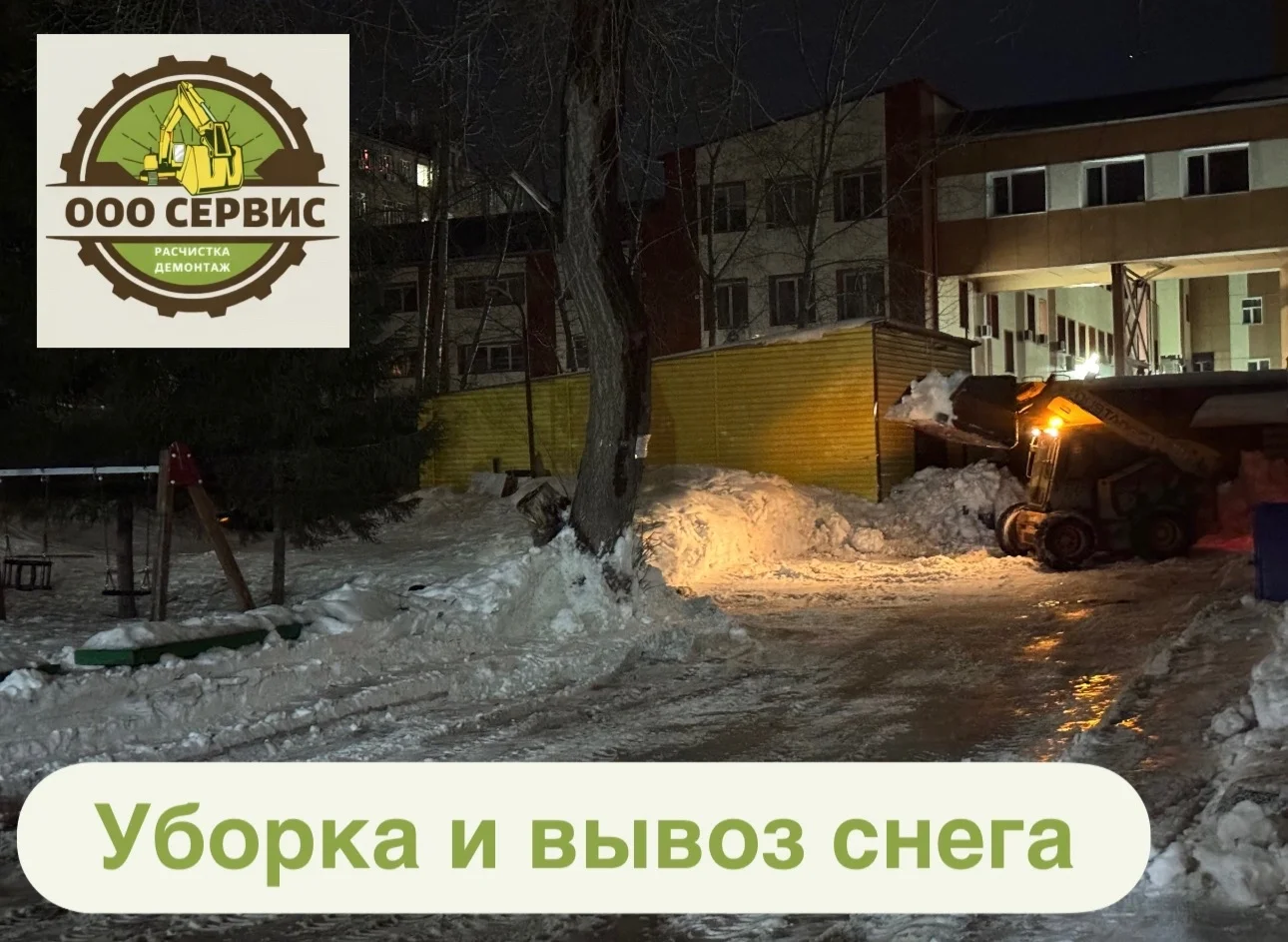 Уборка и вывоз снега с мусором - миниатюра 2