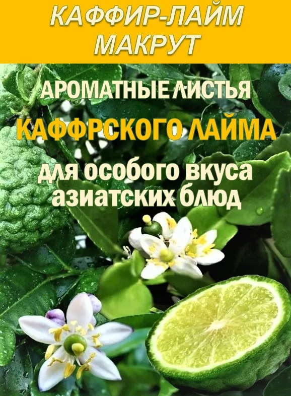 КАФФИР-ЛАЙМ. МАКРУТ. Лист сушеный. - изображение 1