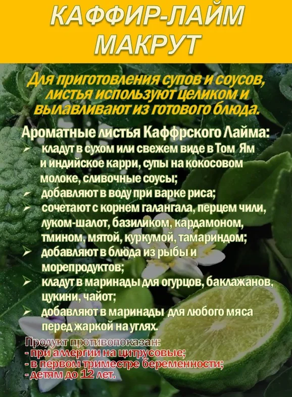КАФФИР-ЛАЙМ. МАКРУТ. Лист сушеный. - миниатюра 3