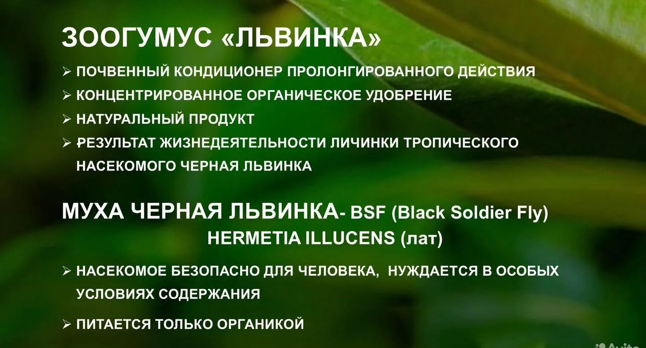 Зоогумус «Львинка» - изображение 1